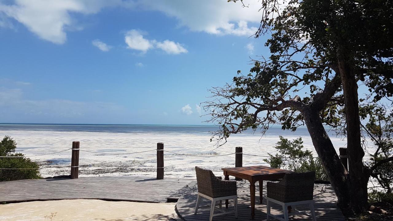 Jua Retreat 호텔 Michamvi 외부 사진